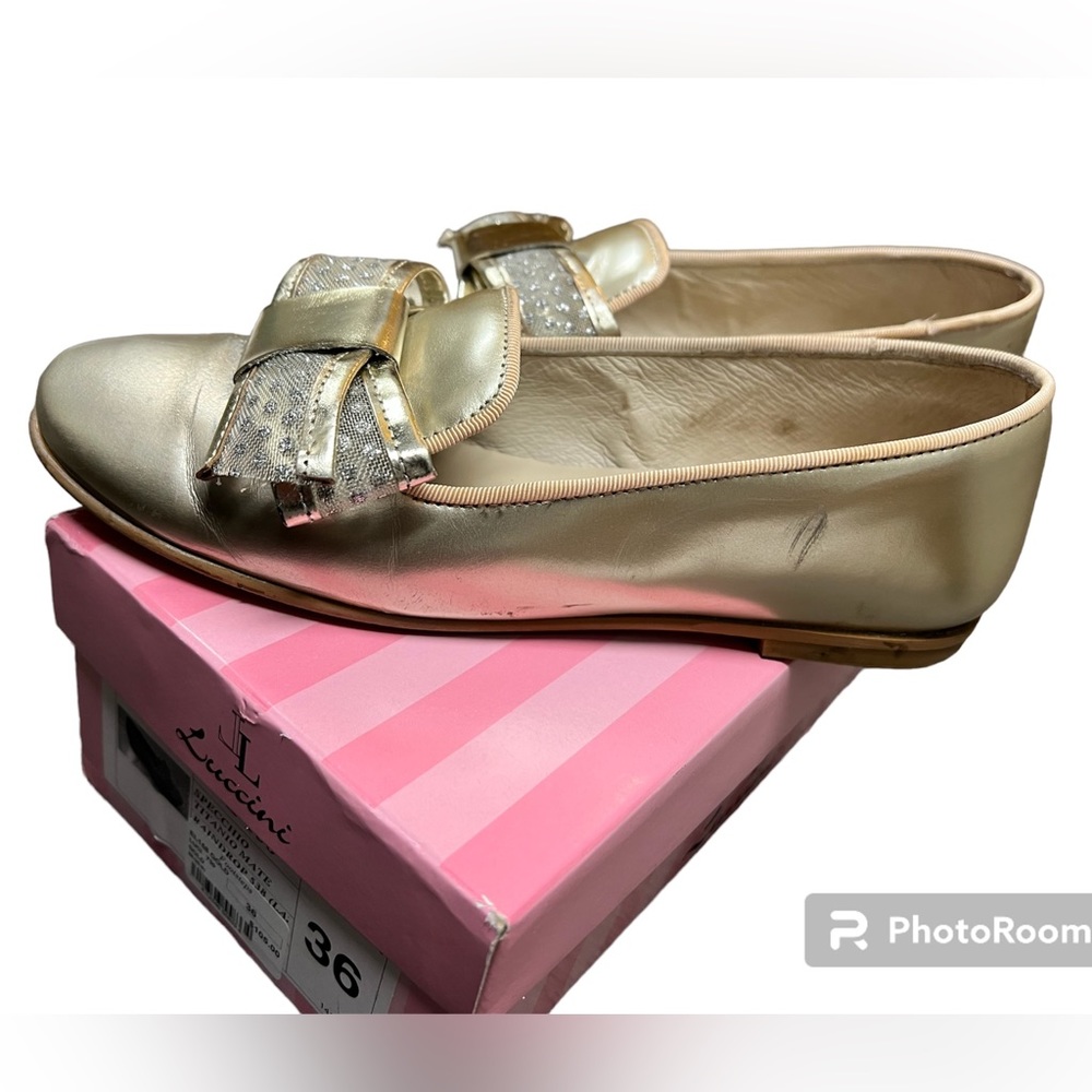 Elegant dressy shoes (LUCCINI)